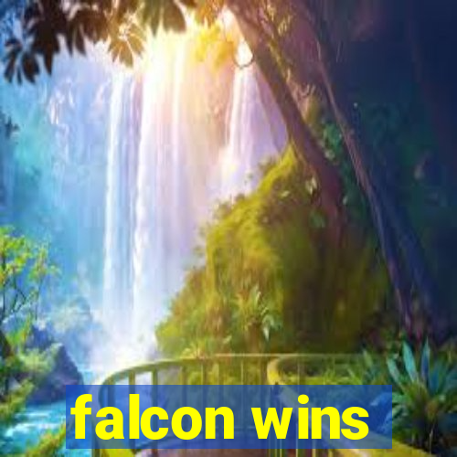 falcon wins