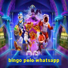 bingo pelo whatsapp