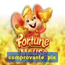 comprovante pix fake meme