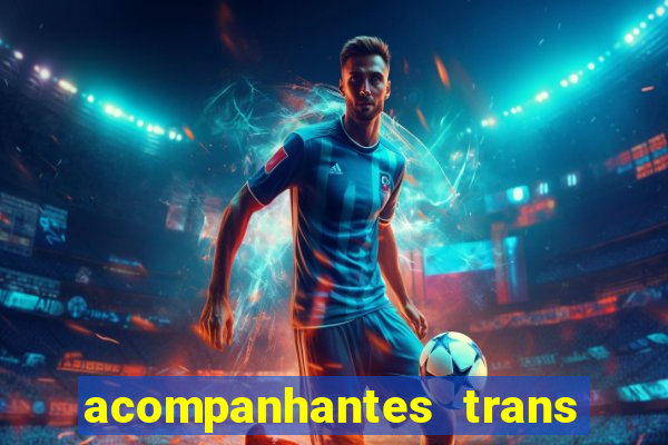 acompanhantes trans baixada fluminense