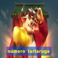 numero tartaruga jogo do bicho