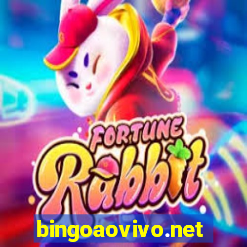 bingoaovivo.net